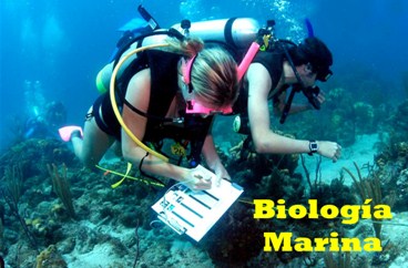 ¿En qué consiste la Carrera de Biología Marina?
