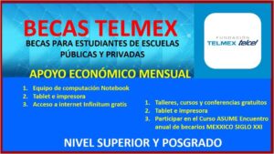 A qué grupo de estudiantes va dirigida la Beca Telmex